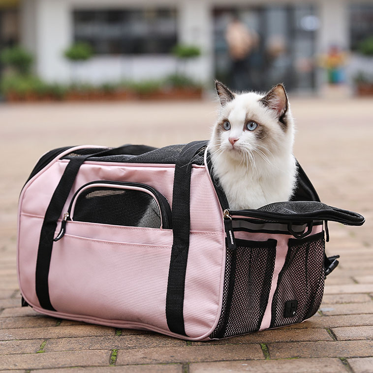pet carriers for cats