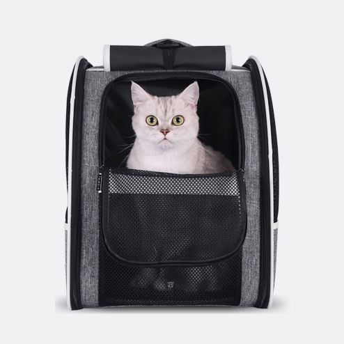 cat backpack mesh