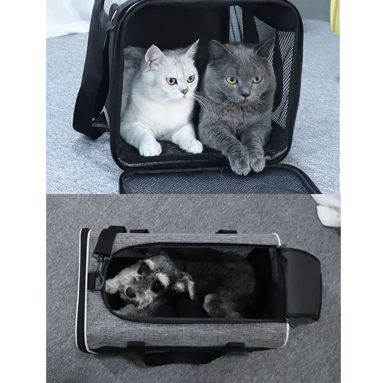 small animal carrier